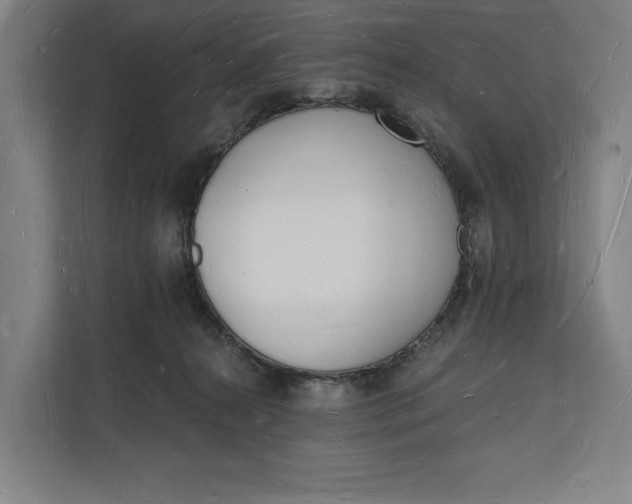 X0000112140272200908211359