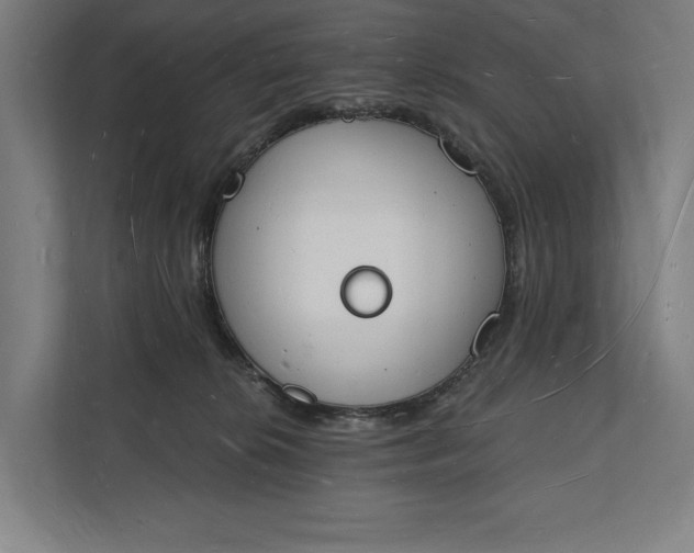 X0000112140276200908211359