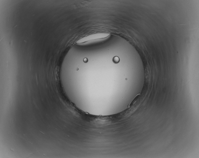 X0000112140280200908211359