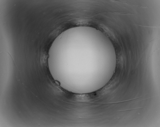 X0000112140281200908211359