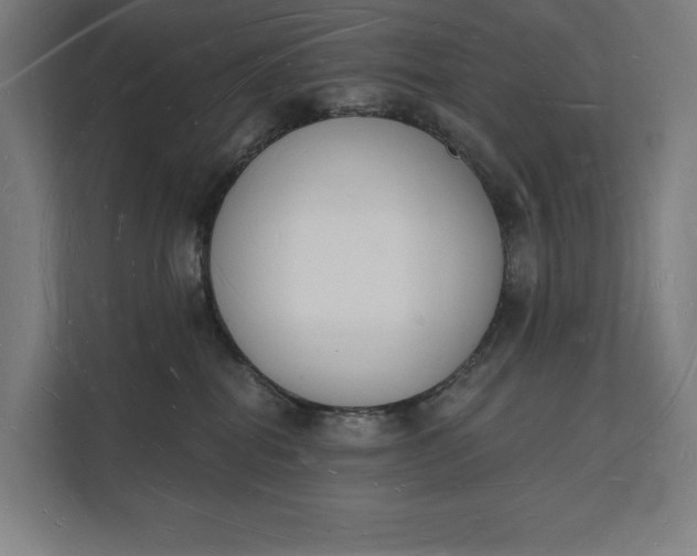 X0000112140282200908211359