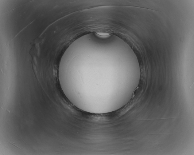 X0000112140284200908211359