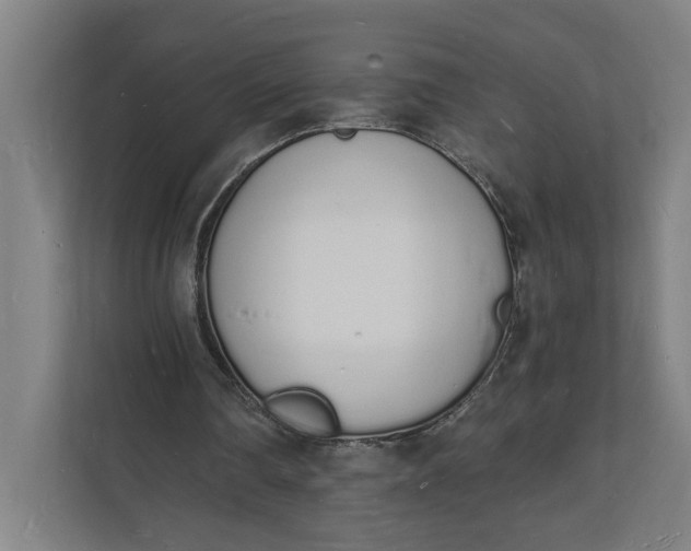 X0000112140290200908211358