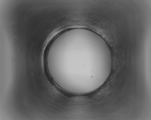 X0000112140296200908211358