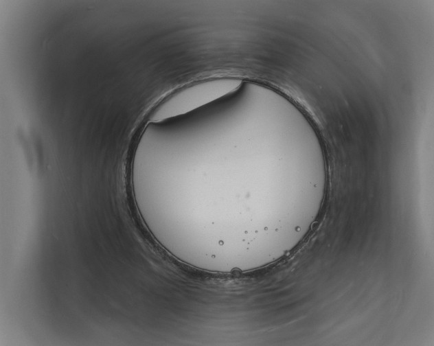 X0000112140297200908211358