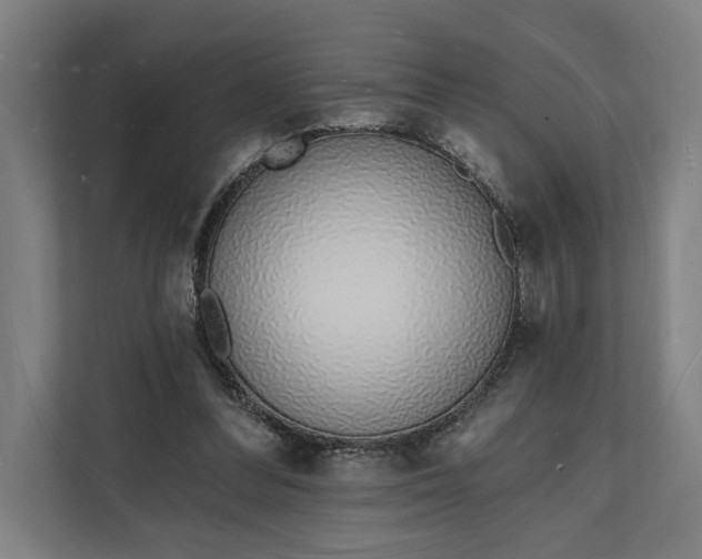 X0000112140300200908211358