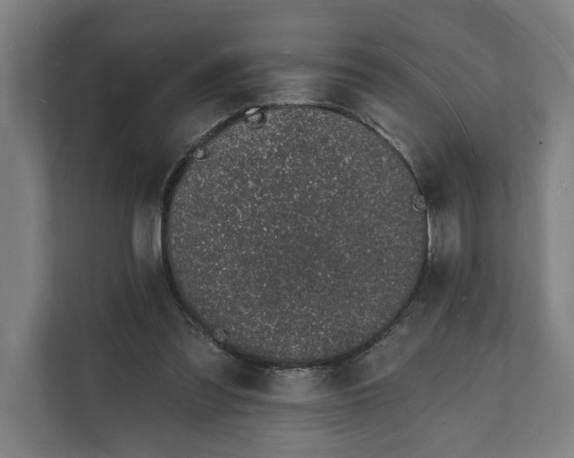 X0000112140301200908211358