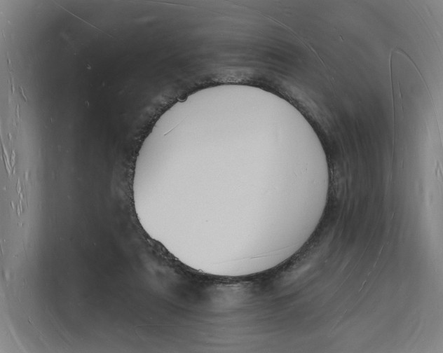 X0000112140307200908211358