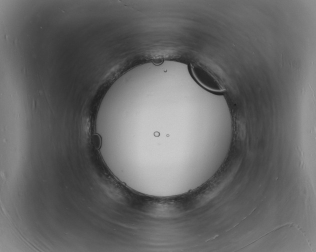 X0000112140308200908211358