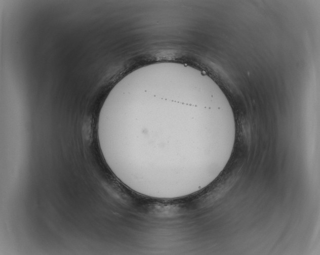 X0000112140311200908211358