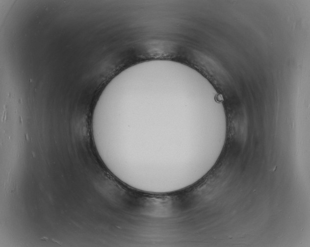 X0000112140317200908211358