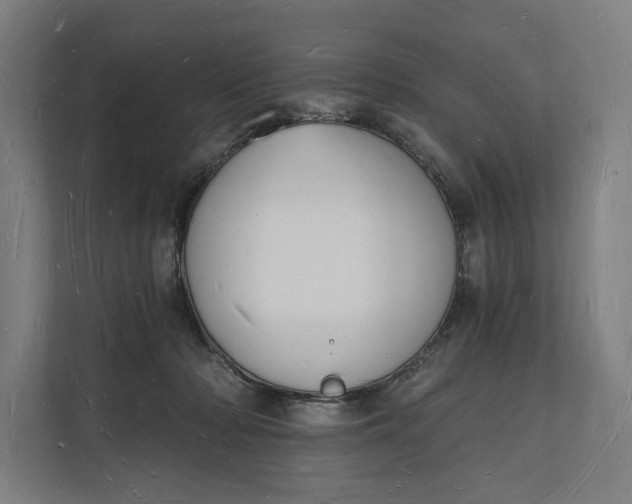 X0000112140318200908211358