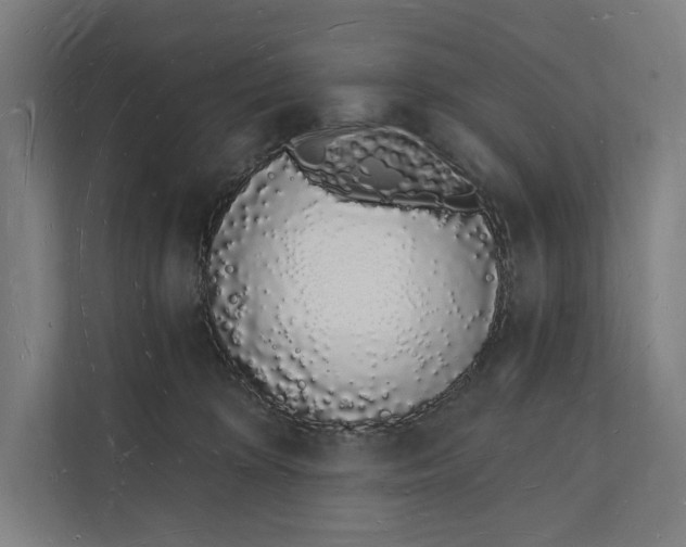 X0000112140324200908211358