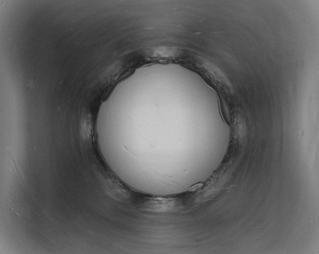 X0000112140328200908211358