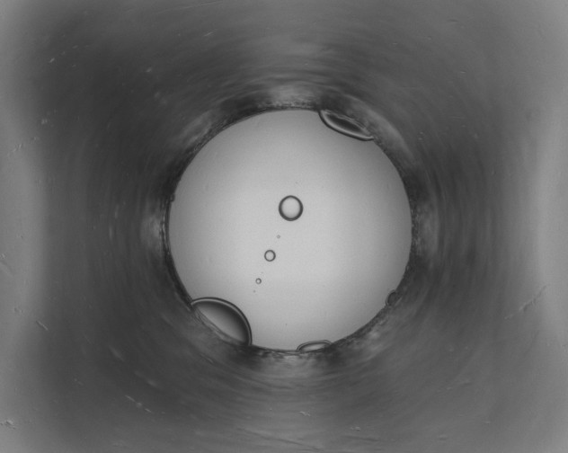 X0000112140329200908211358