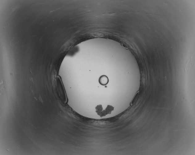 X0000112140332200908211358