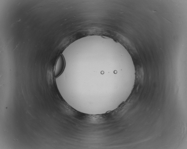 X0000112140333200908211358