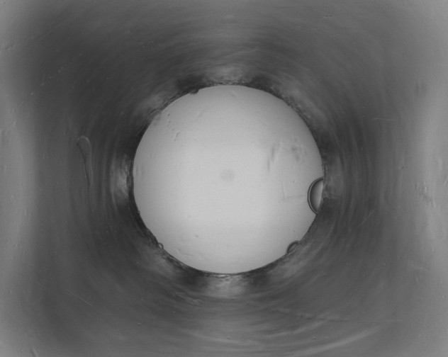 X0000112140334200908211358