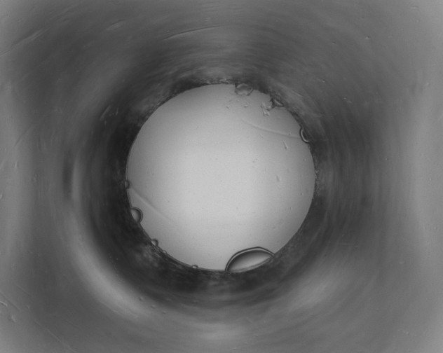 X0000112140335200908211358