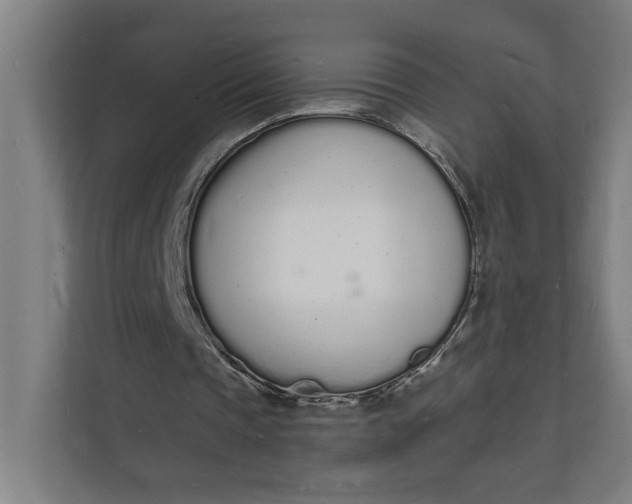 X0000112140337200908211357