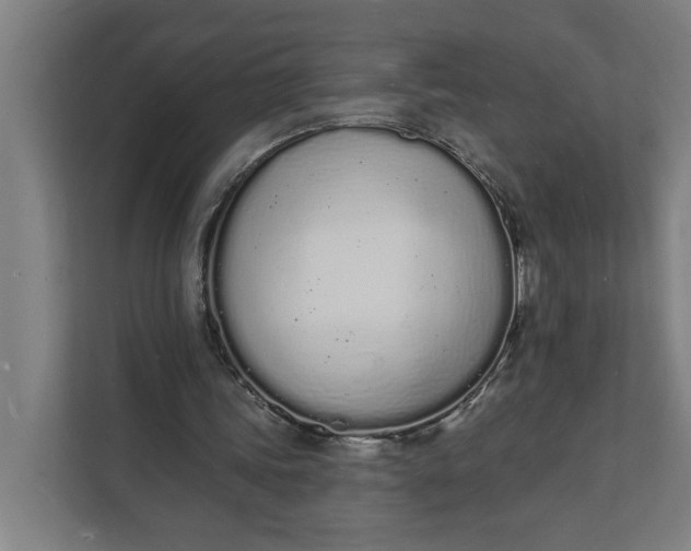 X0000112140339200908211357