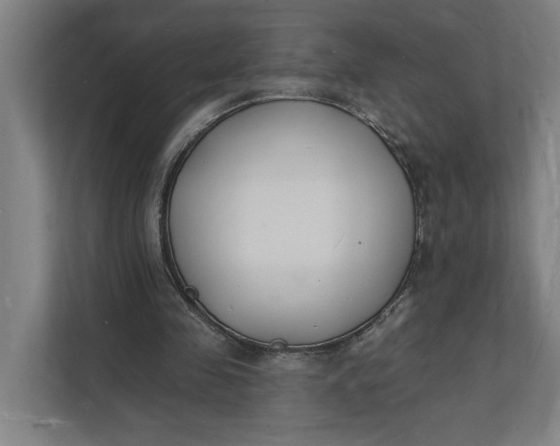 X0000112140341200908211357