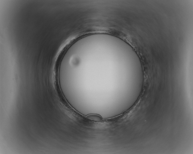 X0000112140342200908211357