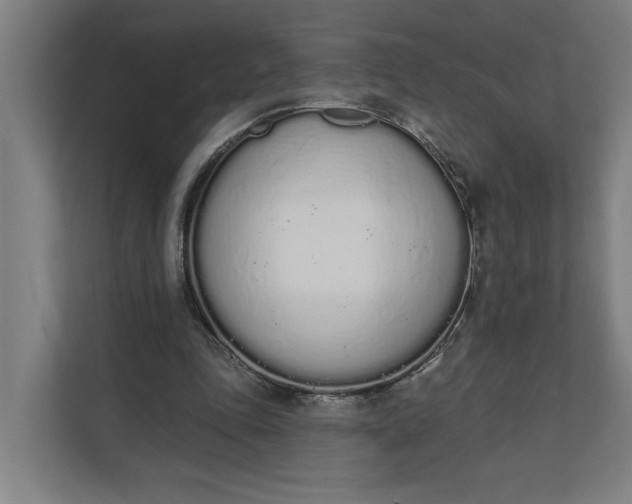 X0000112140343200908211357