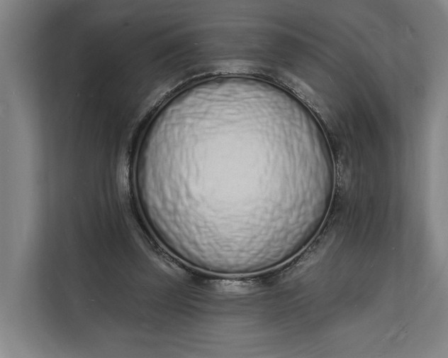 X0000112140347200908211357