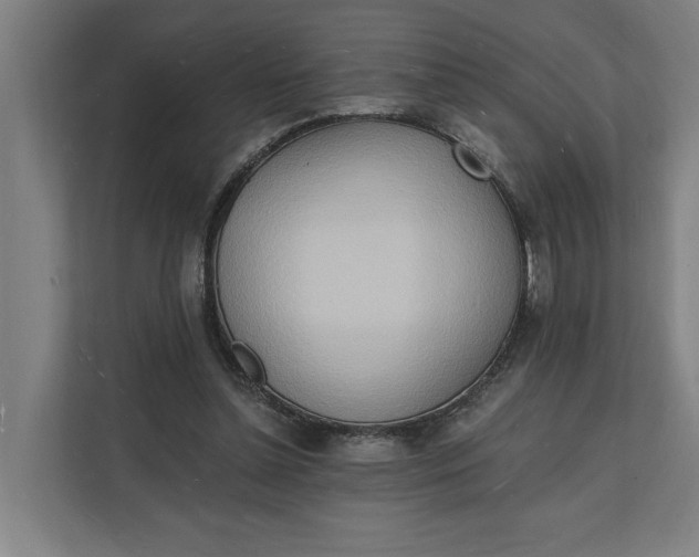 X0000112140348200908211357