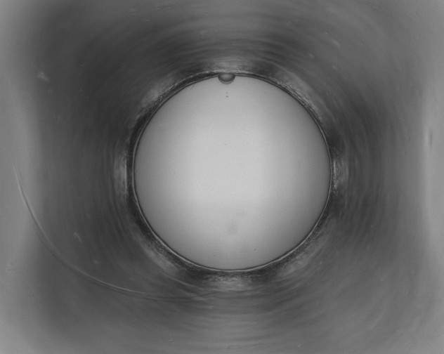 X0000112140349200908211357