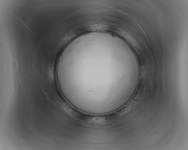 X0000112140353200908211357