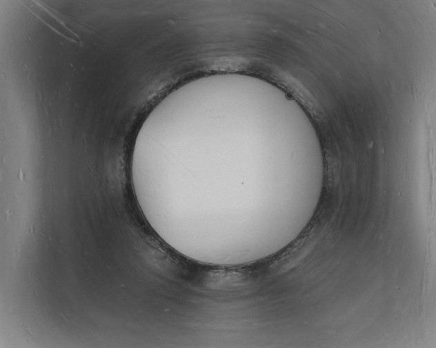 X0000112140354200908211357