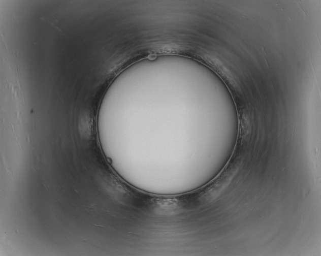 X0000112140355200908211357