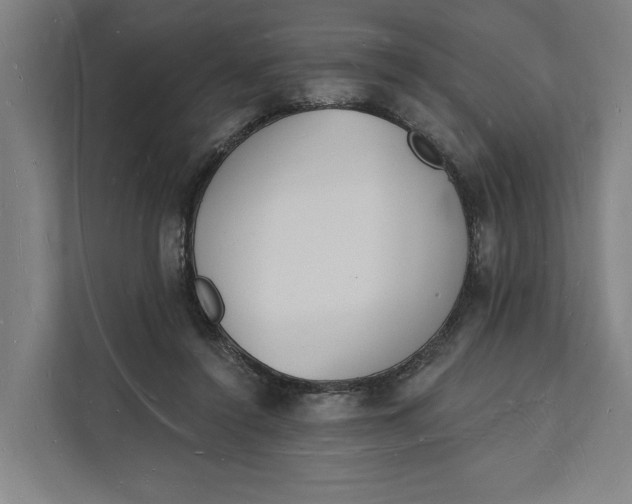 X0000112140356200908211357