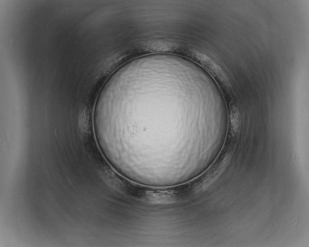 X0000112140359200908211357