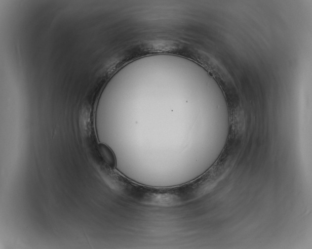 X0000112140360200908211357