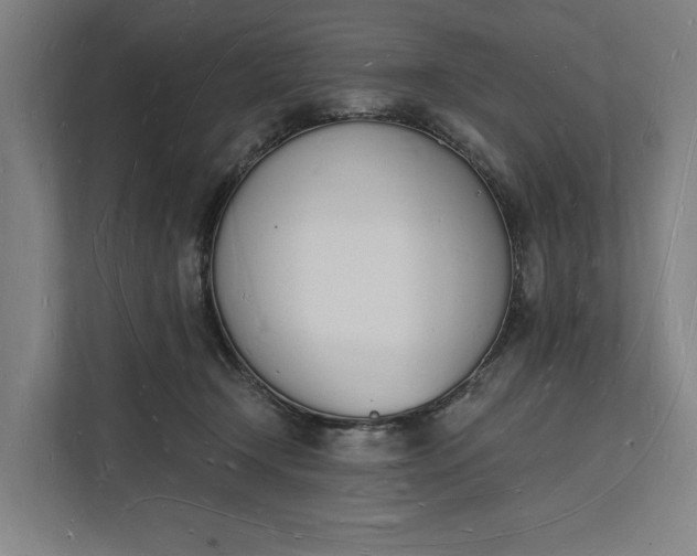 X0000112140366200908211357