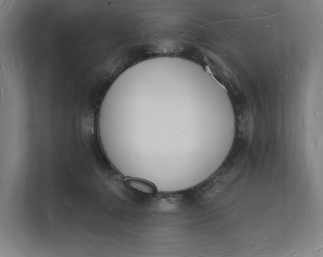 X0000112140368200908211357