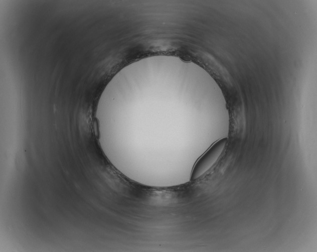 X0000112140376200908211358