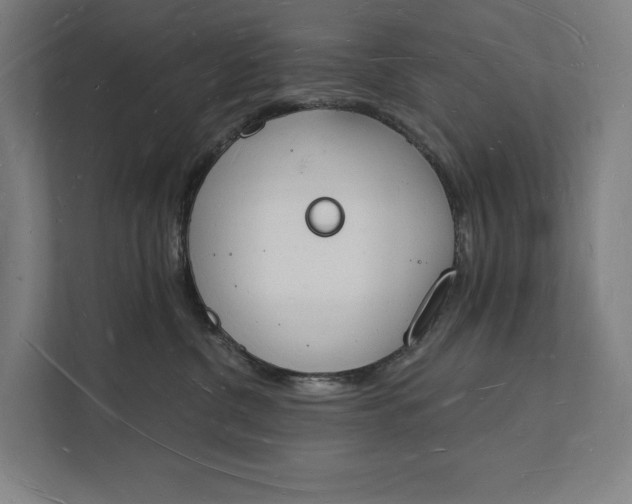 X0000112140380200908211358