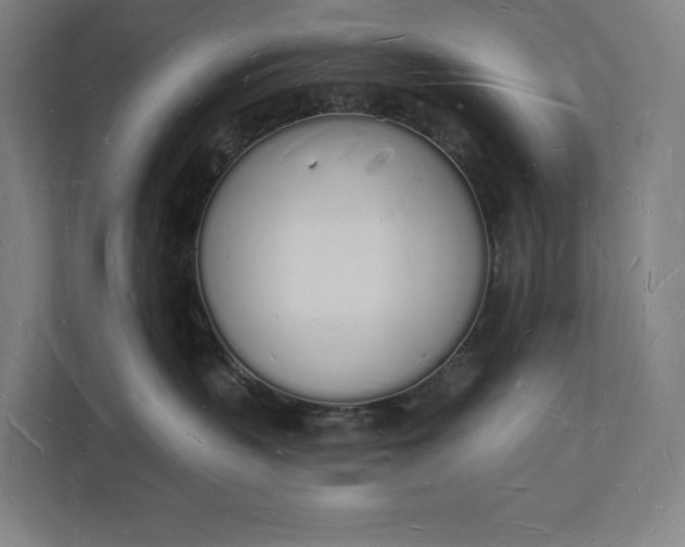 X0000112140383200908211358