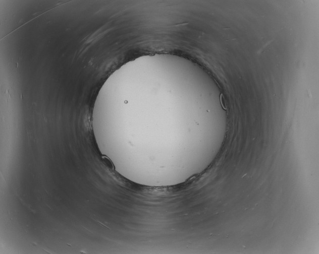 X0000112140384200908211358