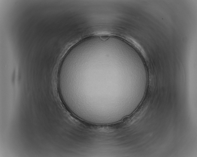 X0000112140385200908211357