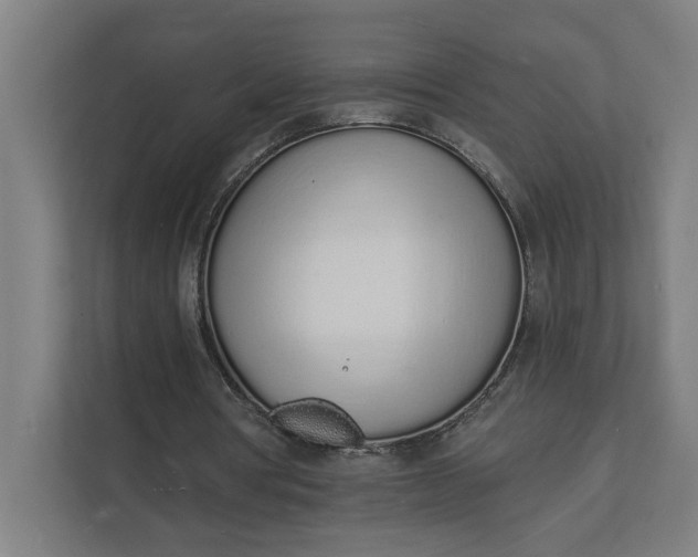 X0000112140386200908211357