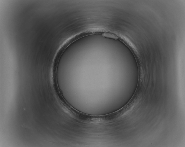 X0000112140391200908211357