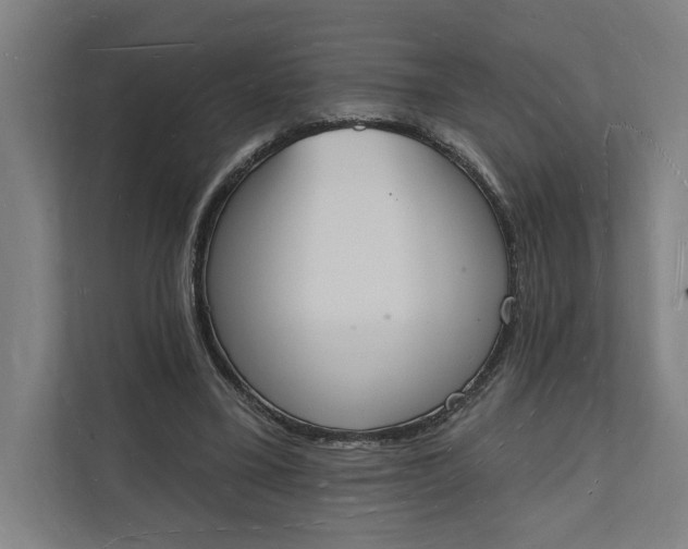 X0000112140395200908211357