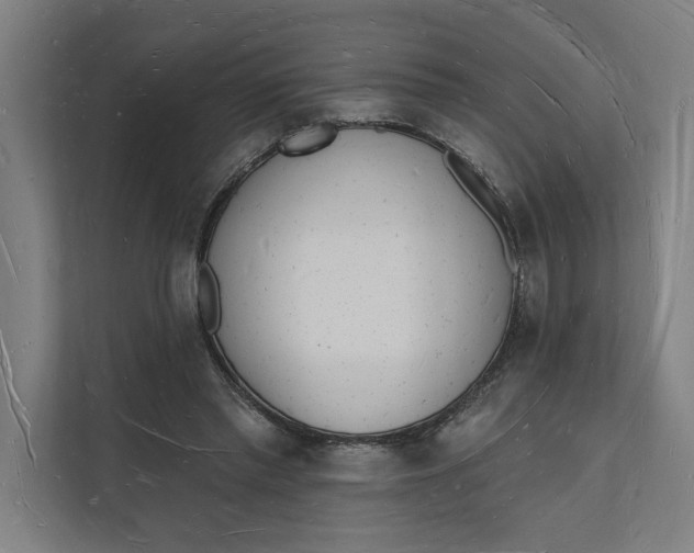 X0000112140397200908211357