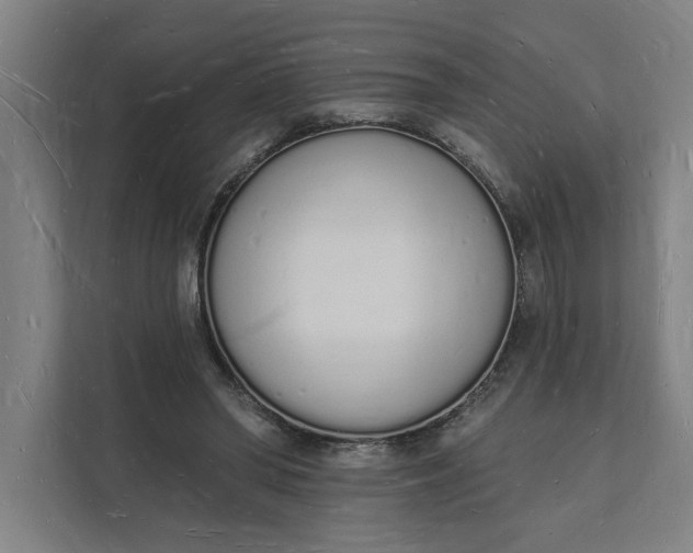 X0000112140398200908211357