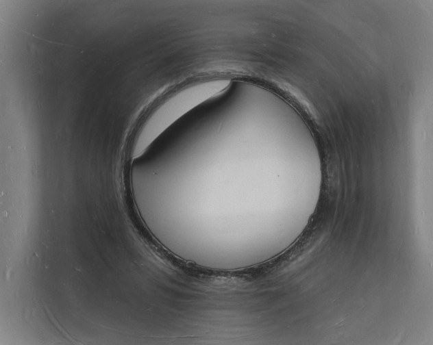 X0000112140399200908211357